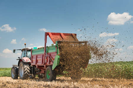 Manure spreader working in field of harvested wheatの写真素材