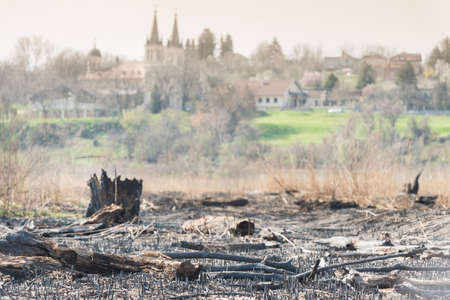 Forest fire damage above villageの写真素材