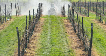 spraying apple orchard in springの写真素材