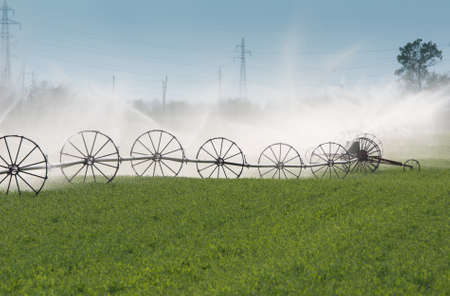 Irrigation sprinklers on wheel lines watering の写真素材