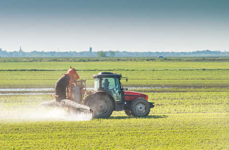 tractor spraying pesticides on soy beanの写真素材