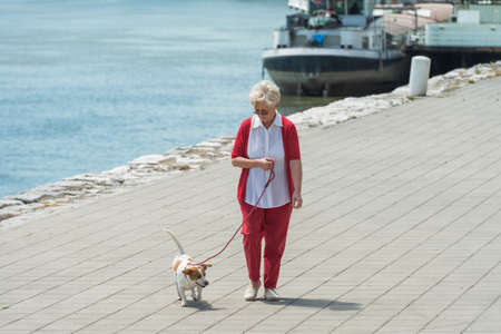 Senior woman walking her dogの写真素材