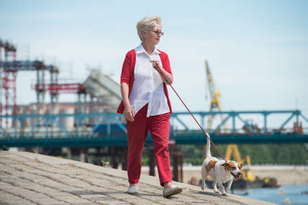 Senior woman walking her dogの写真素材