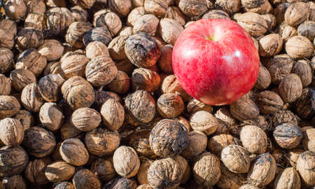 pile of walnuts with apple