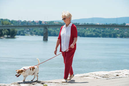 Senior woman walking her dogの写真素材