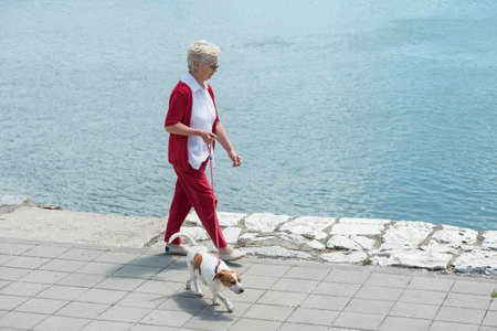 Senior woman walking her dogの写真素材