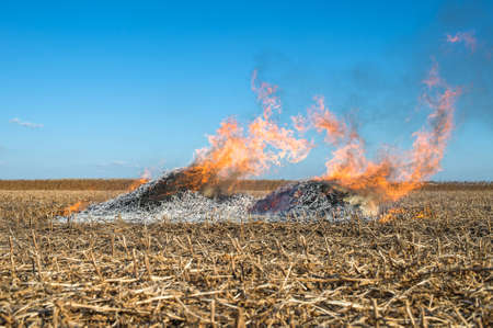 Burning straw in a fieldの写真素材