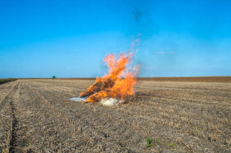 Burning straw in a fieldの写真素材