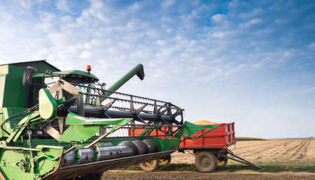 Pouring soy bean into tractor trailerの写真素材