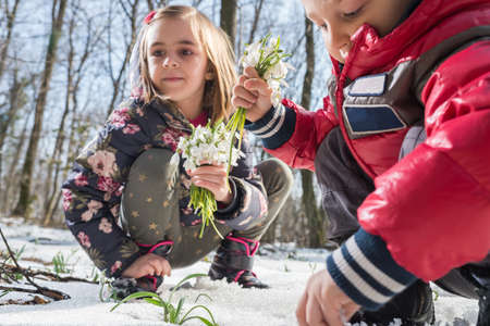 Boy and girl picking flowers of springの写真素材