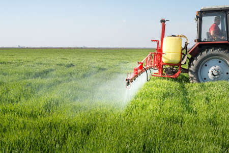 Tractor spraying wheat field with sprayerの写真素材