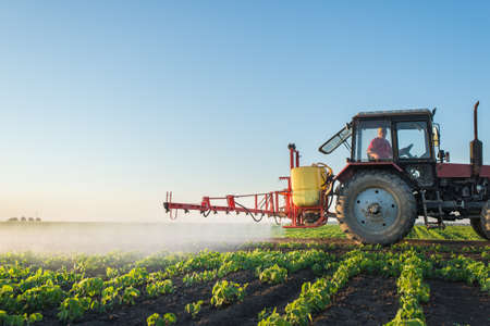 Tractor spraying soybean field at springの写真素材