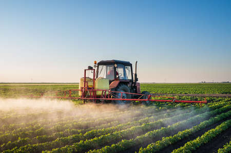 Tractor spraying soybean field at springの写真素材