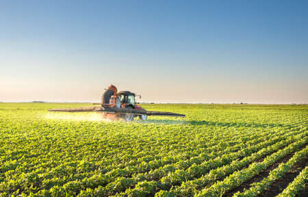 Tractor spraying soybean fieldの写真素材