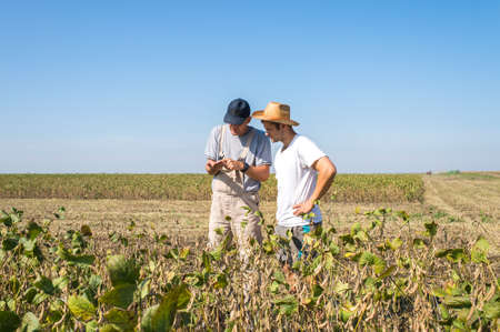 Young farmers in soybean fields