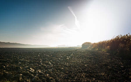 Sunrise over a field with mist in the morningの写真素材