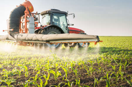 Tractor spraying pesticides on soy beanの写真素材