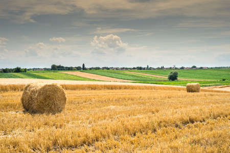 Round bales of straw in the meadowの写真素材