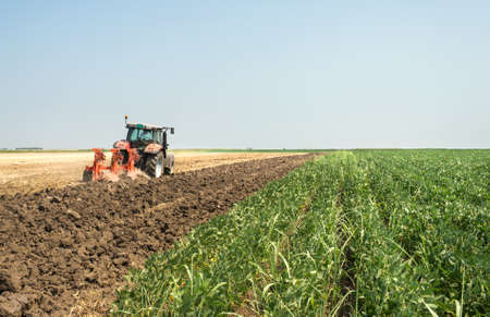 Tractor plowing the stubble field