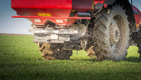 tractor fertilizing in wheat fieldの写真素材