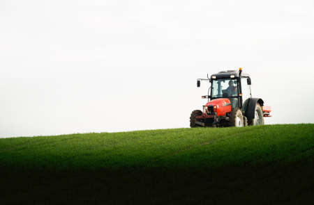 tractor fertilizing in wheat fieldの写真素材