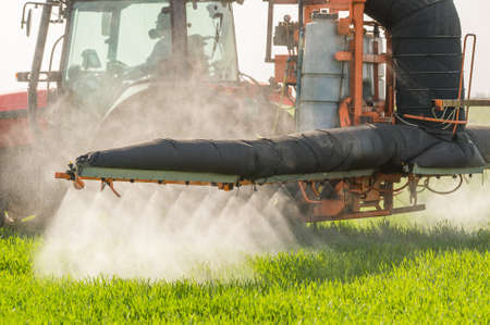 Tractor spraying wheat field with sprayer