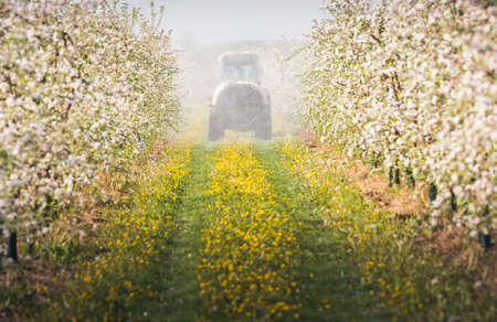 Tractor sprays insecticide in apple orchardの写真素材