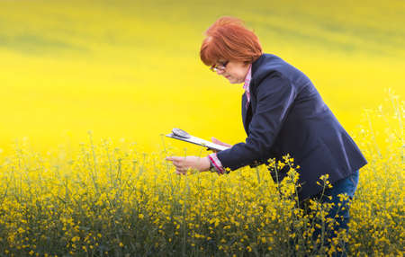 Agricultural expert inspecting quality of oil rape