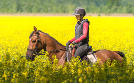 Young woman on a horse ride in a field