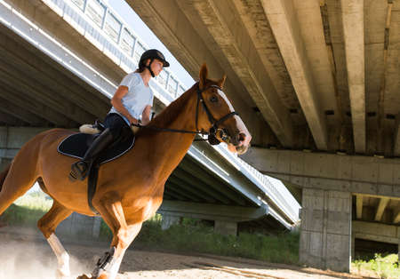 Young girl riding a horse
