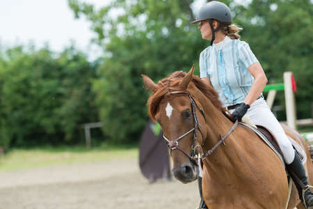 Equestrian Sports, Horse jumping, Show Jumping, Horse Riding