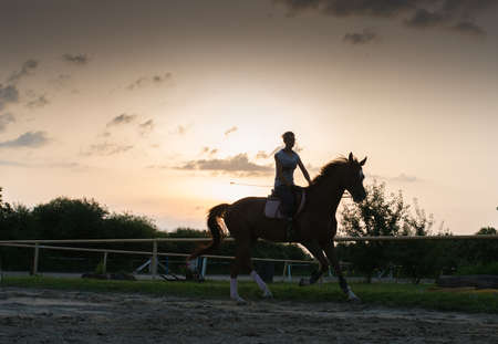 Young pretty girl riding a horseの写真素材