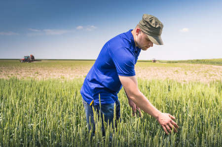 young farmer in a field of wheatの写真素材