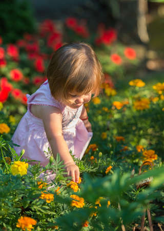 Beautiful baby girl picking flowers from the gardenの写真素材