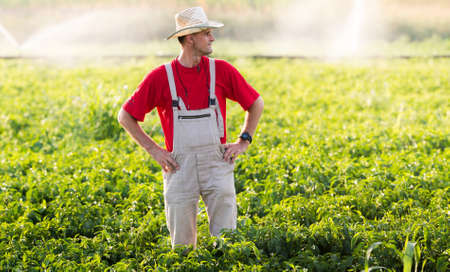 Young farmer in pepper fields