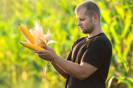 Young farmer watching a corncob in a cornfieldの写真素材