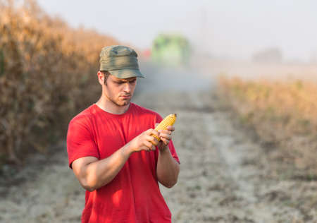 Young farmer in corn fieldsの写真素材