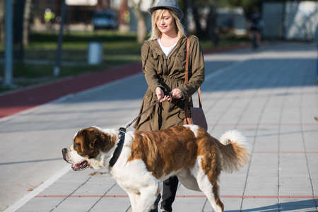 Girl and her big dogの写真素材