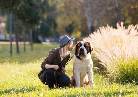 Girl and her big dogの写真素材