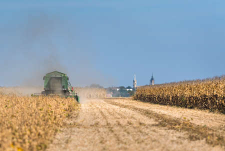Harvesting of soybean field with combineの写真素材