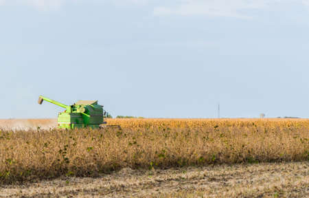 Harvesting of soybean field with combine
