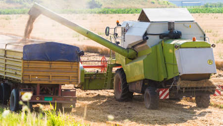 harvester into the grain tank of the tractor trailer.の写真素材