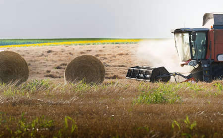 Harvesting of wheat field in summerの写真素材