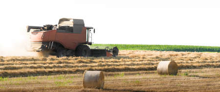Harvesting of wheat field in summer