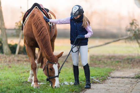 Young pretty girl preparing horse for rideの写真素材