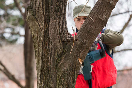 Young man cutting a branch with chainsaw in the yard