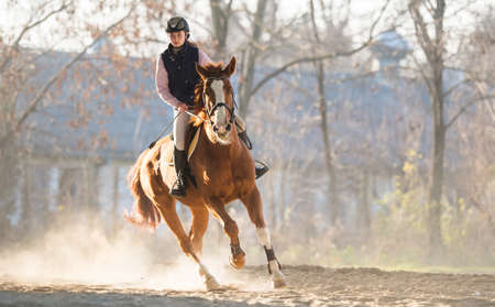 Young pretty girl riding a horseの写真素材