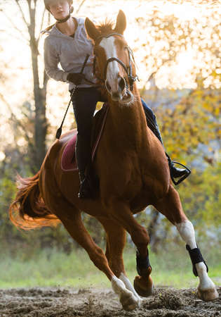Young pretty girl riding a horseの写真素材