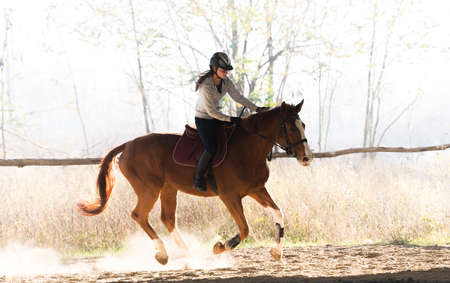 Young pretty girl riding a horseの写真素材