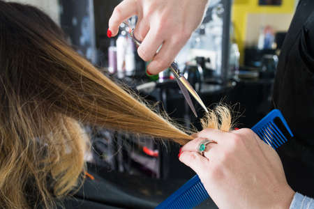 Hairdresser trimming ombre hair with scissors in beauty salonの写真素材